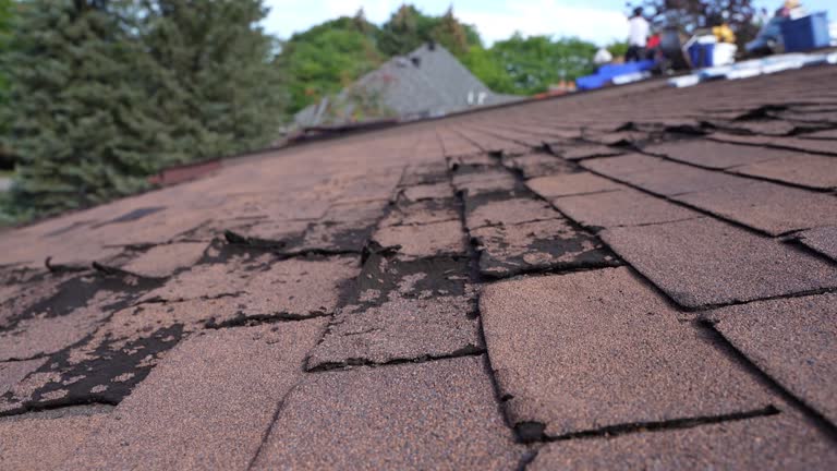 Fast & Reliable Emergency Roof Repairs in Long Creek, IL